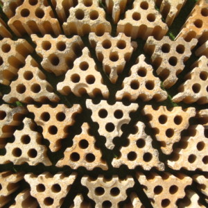406
